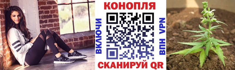 Купить наркотики цена Исилькуль Гашиш  БУТИРАТ  Меф мяу мяу  Галлюциногенные грибы 