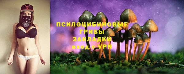 прущая мука Михайловск
