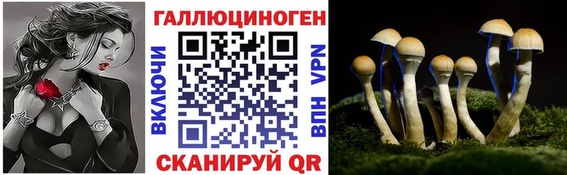 дарнет шоп  Исилькуль  Галлюциногенные грибы прущие грибы 
