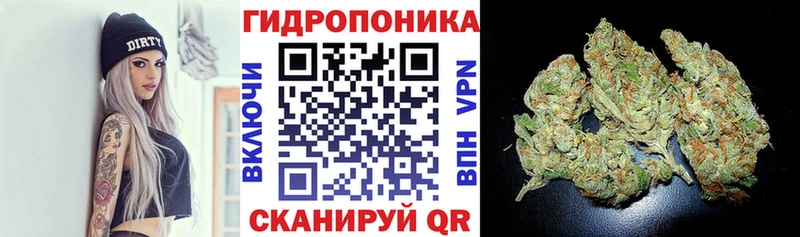 дарнет шоп ОМГ ОМГ маркетплейс МАРИХУАНА SATIVA & INDICA Исилькуль